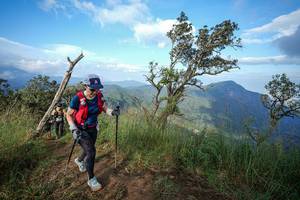 BIB: 
                            <button type="button" onclick="openModal(22373921)" class="btn btn-primary btn-sm float-right btn-popup" data-toggle="modal" data-target=".modal-high-quality">
                        <i class="fas fa-shopping-cart"></i> Add to Cart
                    </button>
                                            <button type="button" onclick="isThisMe(22373921, true)" class="btn btn-success btn-sm float-right btn-popup btn-isme hidden" data-toggle="tooltip" data-placement="bottom" title="นี่คือรูปของคุณใช่ไหม คลิกที่นี่เพื่อเอาเข้าอัลบั้ม">
                        <i class="fas fa-plus"></i> Add to album
                    </button>
                    <button type="button" onclick="isThisMe(22373921, false)" class="btn btn-warning btn-sm float-right btn-popup btn-isnotme hidden">
                        <i class="fas fa-ban"></i> Remove from album
                    </button>